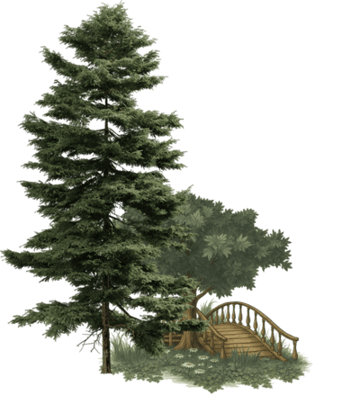 Ornaments